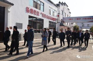 吃瓜协会菏泽,吃瓜协会的欢乐盛宴与地方特色文化碰撞