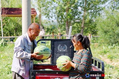 喀什吃瓜群众,吃瓜群众的欢乐盛宴