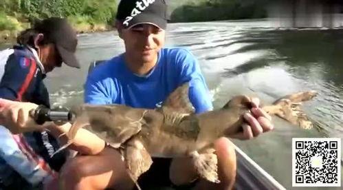 牛魔王吃瓜,揭秘妖界美食传奇