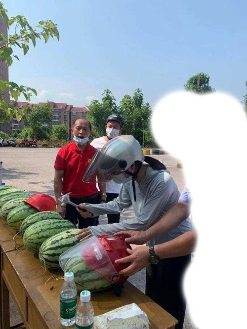 唐山遵化吃瓜事件,一场网络热议背后的真相与反思