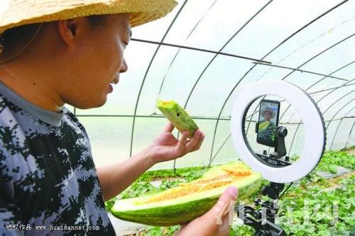 梦见和儿子一起卖瓜吃瓜,与儿子共度瓜田乐时光