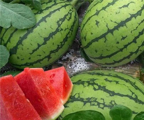 吃大瓜专用图,那些吃大瓜背后的真相与内幕